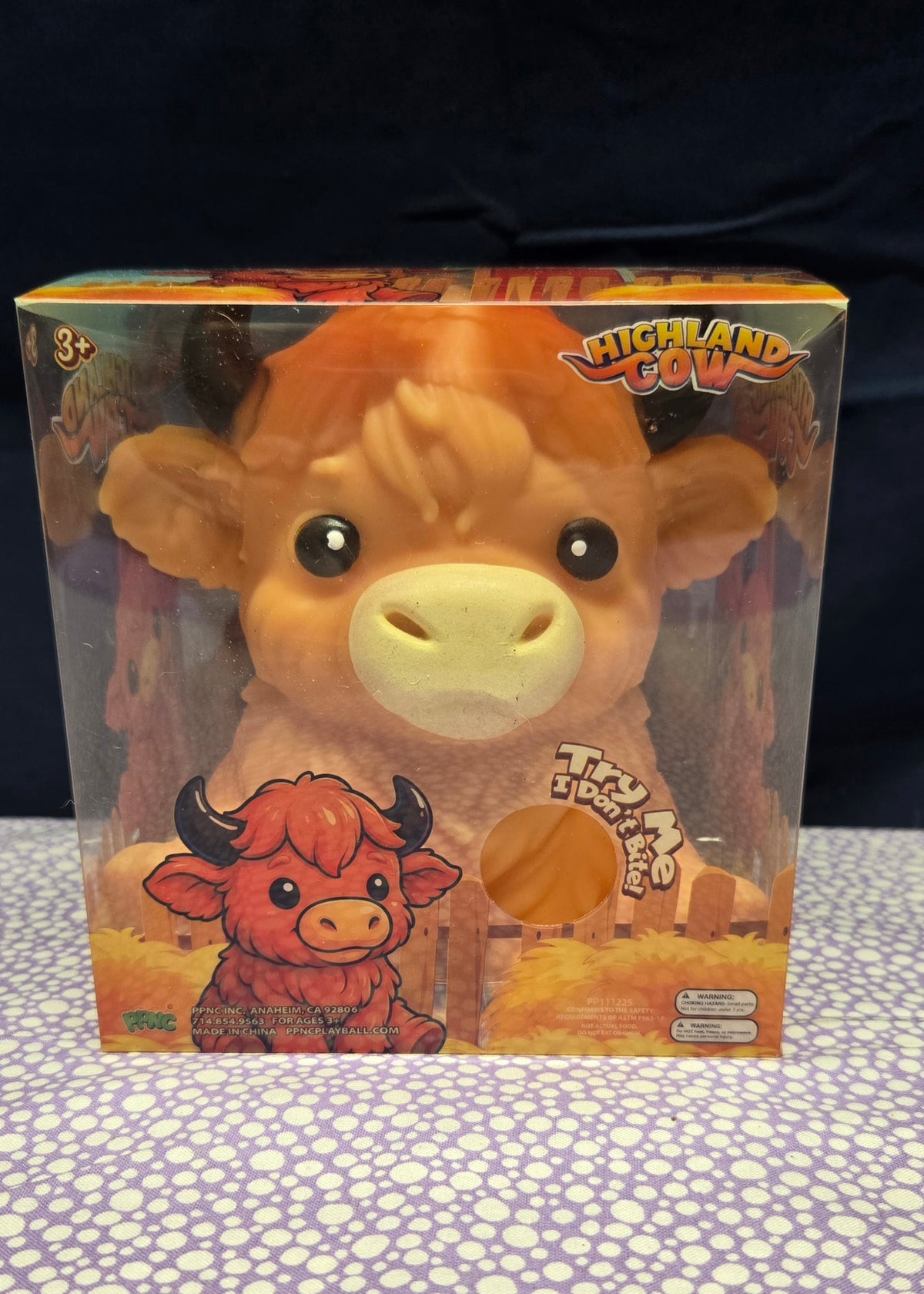 Highland Cow